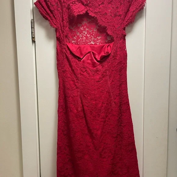 Classic Lace ML by Monique Lhuillier Cocktail Dress - Picture 4 of 4